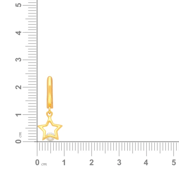 Malabar Gold Earring-22 karat